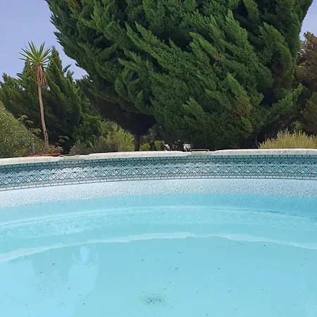 Tradicional Lagoa De Obidos Com Piscina Vau (Obidos)